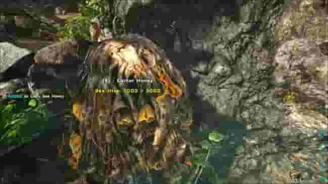 Ark Lost Island Honey Locations