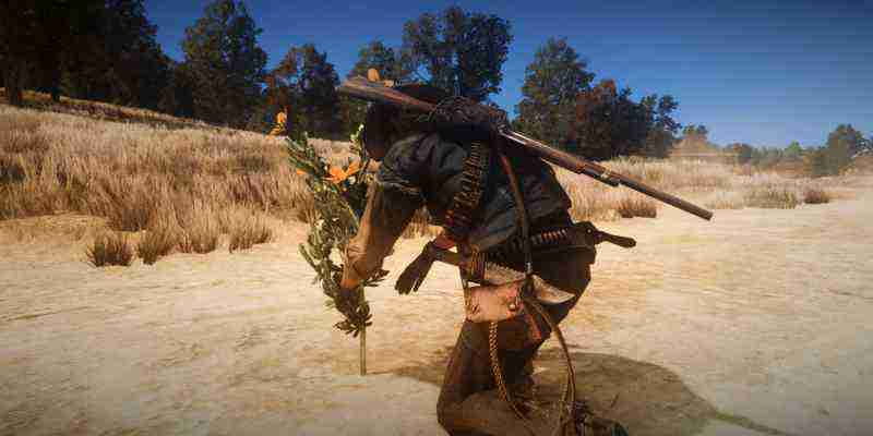 Red Dead Redemption: все испытания на выживание (и как их пройти)