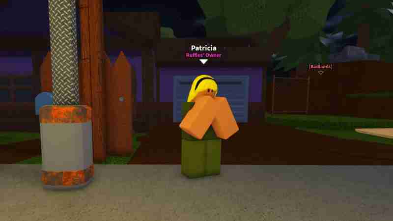 Все местоположения NPC в Dig It – Roblox