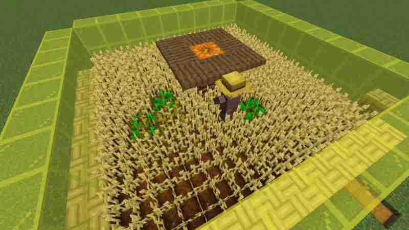 Wheat farm Minecraft