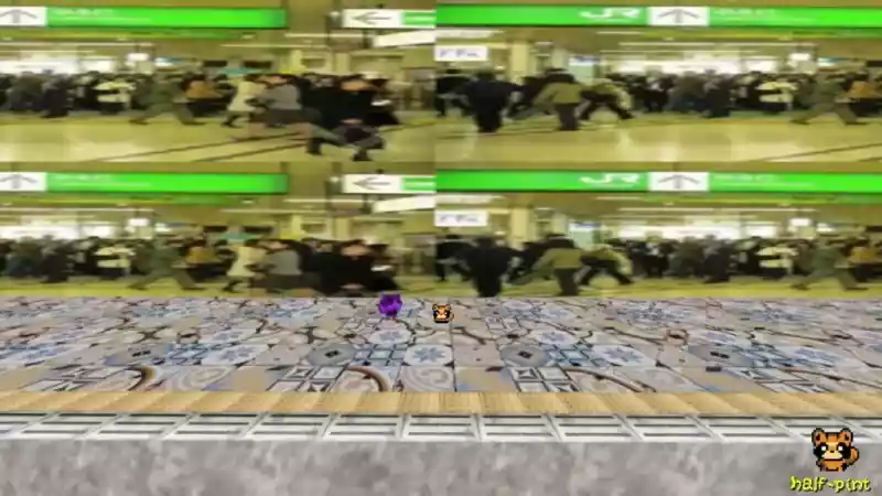 Funi Raccoon Game: все места расположения кошек, гантелей и драгоценностей.