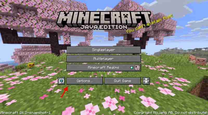 Перейдите в «Настройки» в Minecraft.